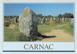 56-CARNAC-N°T2709-A/0177 - Carnac