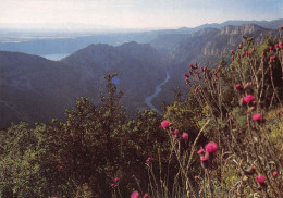 04-GORGES DU VERDON-N°T2709-A/0081 - Andere & Zonder Classificatie