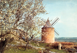 13-PROVENCE VIEUX MOULIN-N°T2709-D/0323 - Sonstige & Ohne Zuordnung