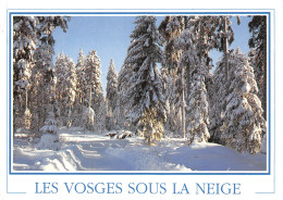 88-LES VOSGES-N°T2709-D/0307 - Other & Unclassified