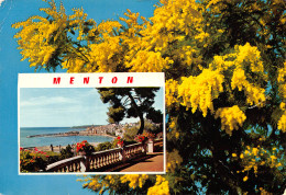 06-MENTON-N°T2709-D/0253 - Menton