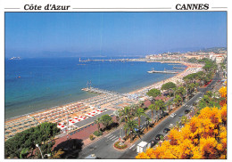 06-CANNES-N°T2709-D/0137 - Cannes