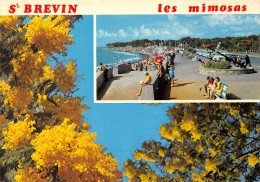 44-SAINT BREVIN-N°T2709-C/0213 - Saint-Brevin-l'Océan