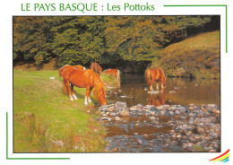 64-PAYS BASQUE-N°T2709-C/0035 - Autres & Non Classés