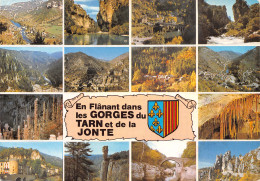 48-GORGES DU TARN ET DE LA JONTE-N°T2710-C/0353 - Gorges Du Tarn