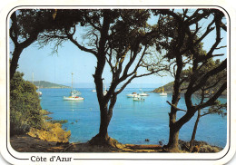 06-COTE D AZUR-N°T2710-C/0279 - Autres & Non Classés