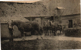 SLEIDINGE / KLOOSTER HOOIWEGE / BOEDERIJ - Evergem