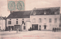 SAINTE COLOMBE SUR SEINE LA PLACE - Autres & Non Classés