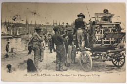RARE - Concarneau - Le Transport Des Thons Pour L'usine. ANIMEE, Circulée 1920 - Concarneau
