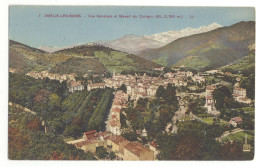 66/ CPA - Amélie Les Bains - Vue Générale Et Massif Du Canigou - Amélie-les-Bains-Palalda