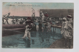 CPA - Maroc - Casablanca - Débarquement De Cavallerie Française - Colorisée - Circulée En 1908 - Casablanca