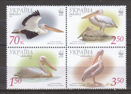 Ukraine 2007 Mi 897-900C In Block Of 4 MNH WWF - PELICANS - Ungebraucht