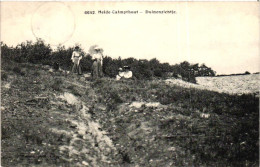 HEIDE KALMTHOUT / DUINENZICHT - Kalmthout