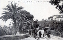 83  TOULON   BD DU LITTORAL  ENTREE DE PALMIERS LES BAINS - Toulon