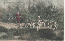 YVELINES-Chasse De La Saint-Hubert-La Mort Du Cerf (colorisé) AB 16 - St. Arnoult En Yvelines