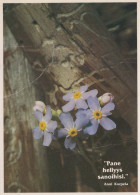 FLEURS Vintage Carte Postale CPSM #PAR286.A - Fleurs