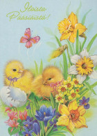 PASQUA POLLO UOVO Vintage Cartolina CPSM #PBP199.A - Easter