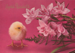 PASQUA POLLO UOVO Vintage Cartolina CPSM #PBP124.A - Easter