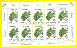 MONACO 2004 Fauna E Flora Mediterranea - Rana MF- Sheetlets - Nuevos