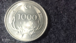 TÜRKİYE-1993--NİKEL       1000    LİRA           XF - Turkije