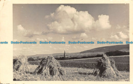 R140154 Unknown Place. Church. Old Photography. Postcard - World