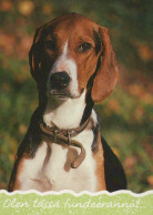 CHIEN Animaux Vintage Carte Postale CPSM #PAN835.A - Chiens