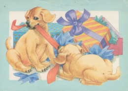 CANE Animale Vintage Cartolina CPSM #PAN664.A - Dogs