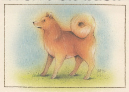 DOG Animals Vintage Postcard CPSM #PAN677.A - Chiens