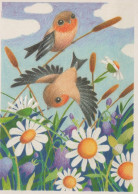 PÁJARO Animales Vintage Tarjeta Postal CPSM #PAN168.A - Vogels