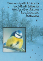 BIRD Animals Vintage Postcard CPSM #PAN032.A - Oiseaux