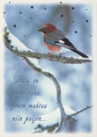 BIRD Animals Vintage Postcard CPSM #PAN052.A - Oiseaux