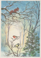 OISEAU Animaux Vintage Carte Postale CPSM #PAM979.A - Oiseaux