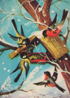 UCCELLO Animale Vintage Cartolina CPSM #PAM823.A - Birds