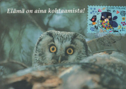 BIRD Animals Vintage Postcard CPSM #PBR714.A - Vogels