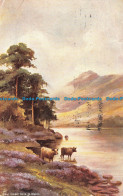 R140196 Near Cader Idris. N. Wales. B. B. London. Series NO. A2. 1907 - Andere & Zonder Classificatie