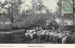 40 - Landes - Bergerie Des Landes - Animée - Moutons - Berger - Etat Carte Abimé En Haut Au Centre - CPA - Voir Scans Re - Andere & Zonder Classificatie