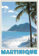 Martinique - Le Morne Larcher - CPM - Carte Neuve - Voir Scans Recto-Verso - Autres & Non Classés