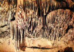 Spéléologie - Grottes D'Arcy Sur Cure - Les Draperies - Cascades Pétrifiées - Potholing - Cave - CPM - Carte Neuve - Voi - Autres & Non Classés