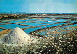 Metiers - Marais Salants - Saliculture - Saliculteurs - Sauniers - Paludiers - Cote Atlantique - Les Marais Salants - CP - Altri & Non Classificati