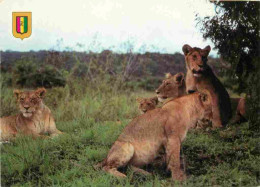 Animaux - Fauves - Lion - Parc Akagera - Famille De Lions - CPM - Voir Scans Recto-Verso - Lions