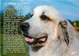 Animaux - Chiens - La Prière Du Chien - CPM - Voir Scans Recto-Verso - Chiens