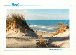 Pays-Bas - Nederland - Texel - CPM - Voir Scans Recto-Verso - Texel