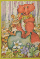FOX Animals Vintage Postcard CPSM #PBS805.A - Andere & Zonder Classificatie
