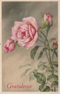 FLEURS Vintage Carte Postale CPA #PKE654.A - Bloemen