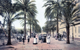 83  TOULON   ALLEE DES PALMIERS PLACE DE LA LIBERTE - Toulon