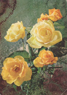 FLOWERS Vintage Postcard CPSM #PAS567.GB - Fleurs