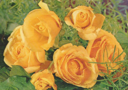 FLOWERS Vintage Postcard CPSM #PAS627.GB - Fleurs