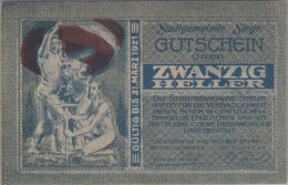 20 HELLER 1920 Stadt STEYR Oberösterreich Österreich Notgeld Banknote #PI172 - [11] Emisiones Locales