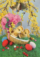 EASTER CHICKEN EGG Vintage Postcard CPSM #PBP220.GB - Pâques