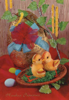 EASTER CHICKEN EGG Vintage Postcard CPSM #PBO658.GB - Pâques